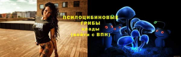 apvp Михайловка