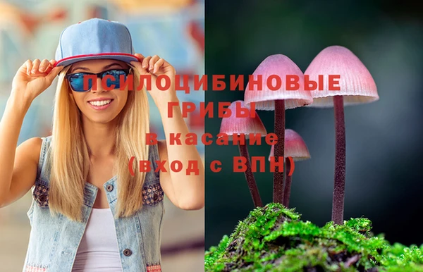 а пвп мука Михайлов