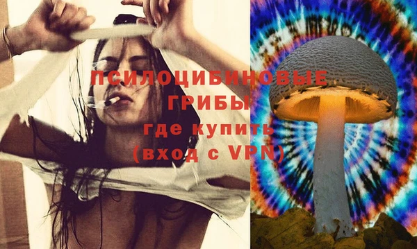 а пвп мука Михайлов