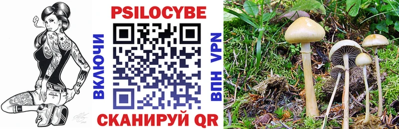 Псилоцибиновые грибы мухоморы  Шумиха 
